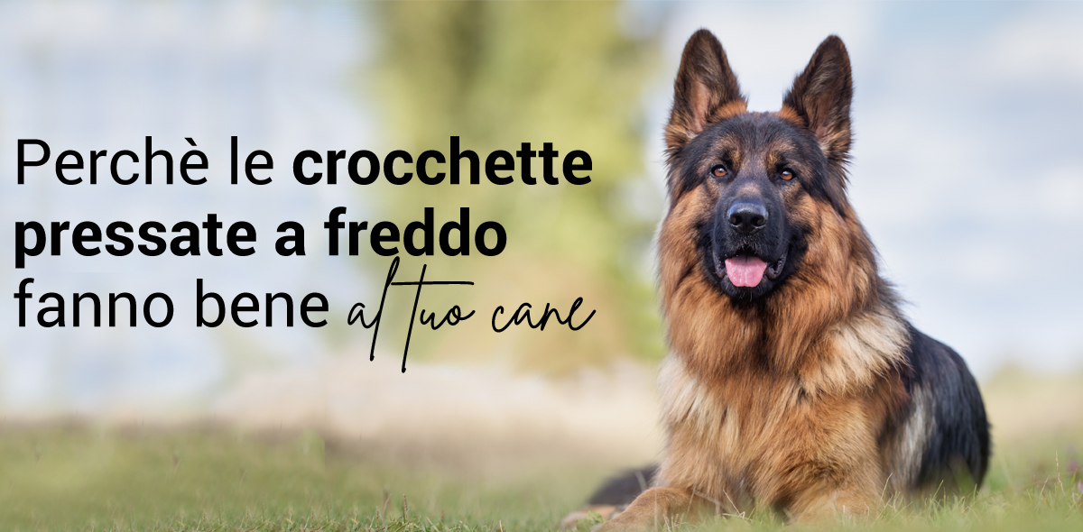 cold-press-husse-it-23