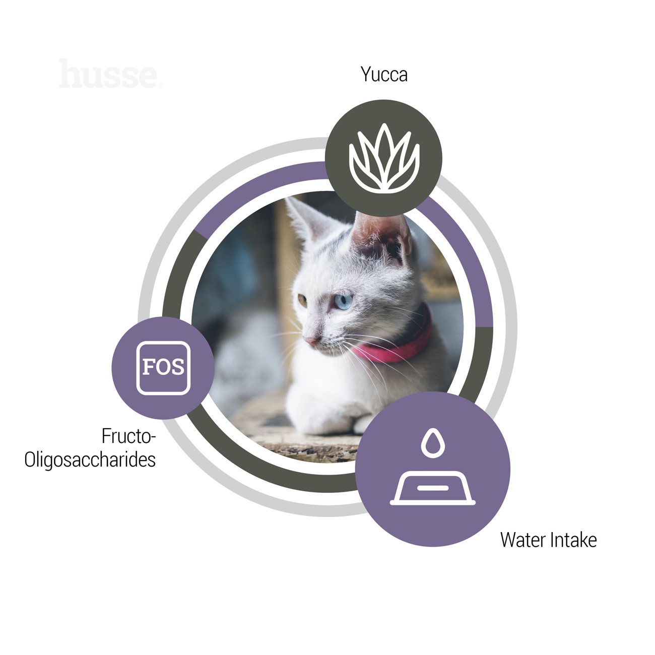 Exclusive Urinary, 2 kg | Crocchette per la salute urinaria del gatto