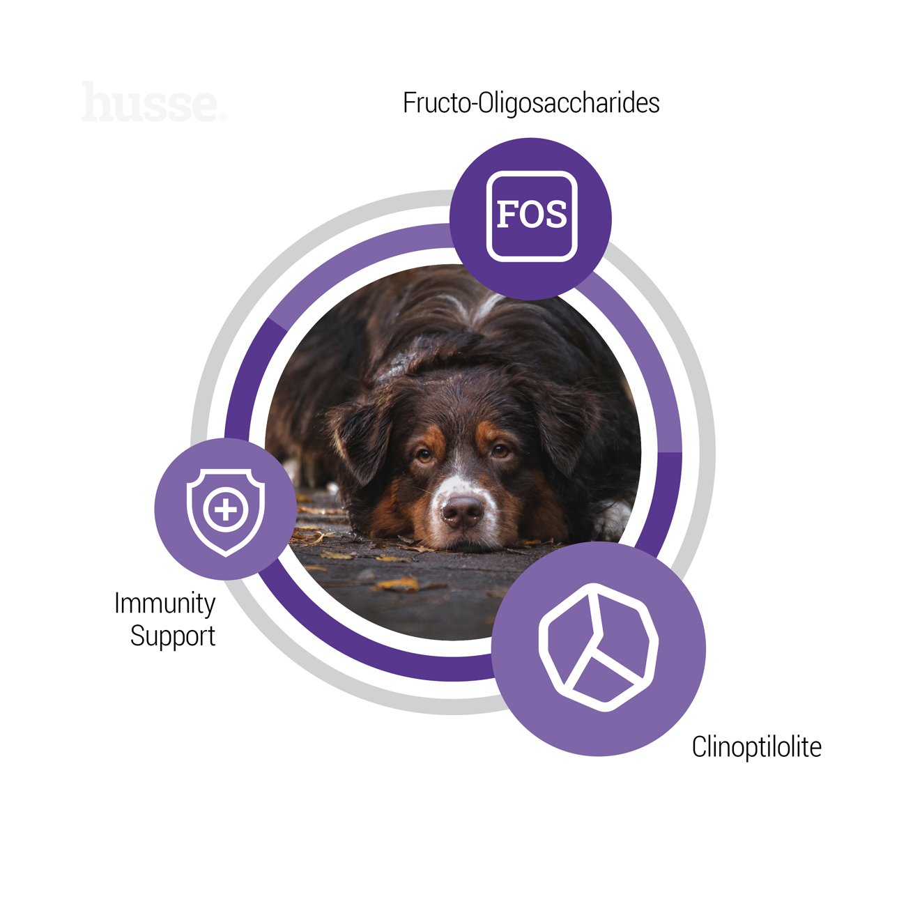 Senior, 12 kg | Crocchette per cani anziani