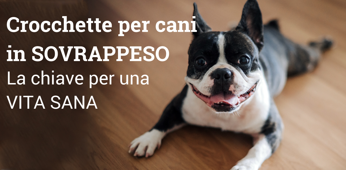 cane_sovrappeso_Banner_1