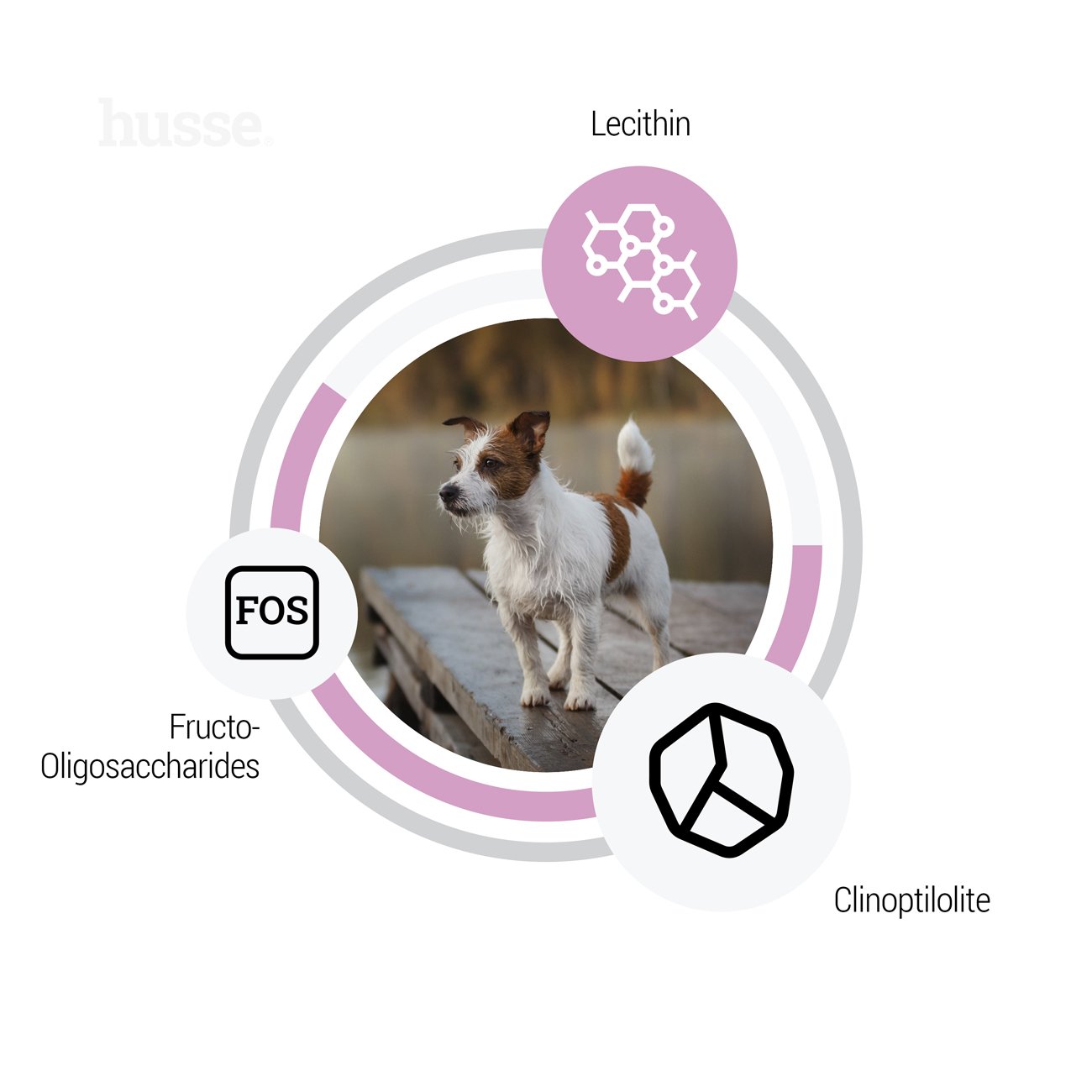 Ocean Care Mini, 2 kg | Crocchette per cani di taglia piccola con digestione sensibile