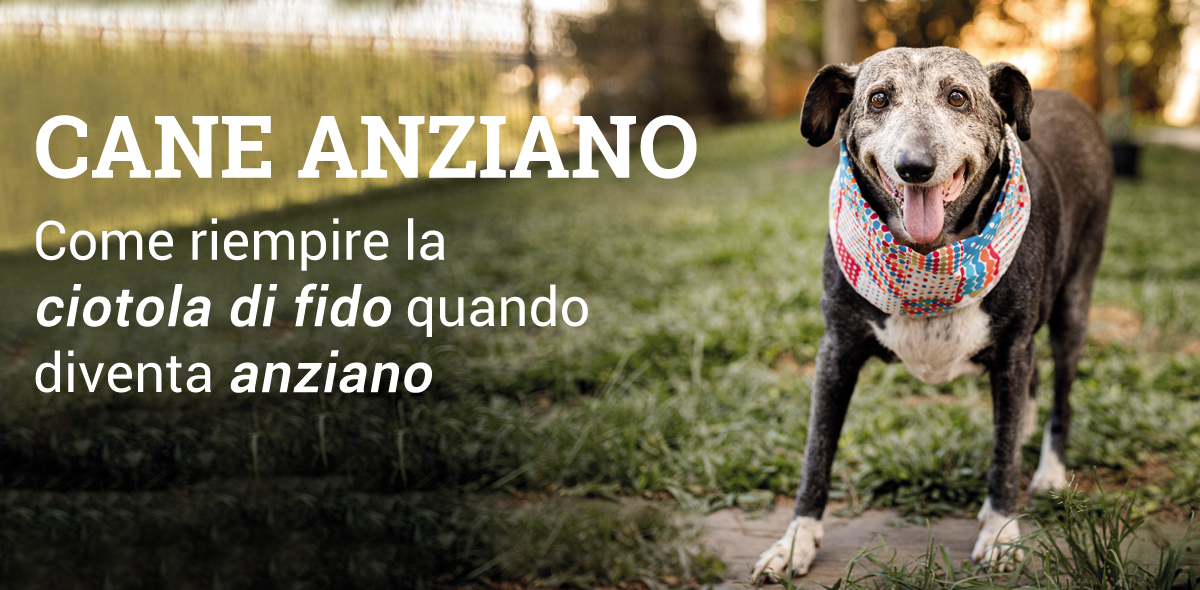 cane_anziano_2banner_3