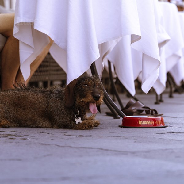 Ciotola in acciaio inossidabile, GRANDE