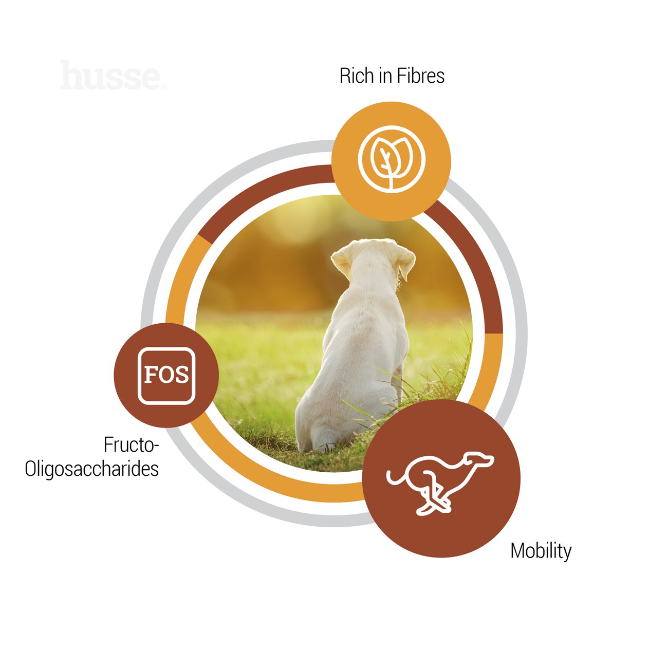 Valp Maxi, 12 kg | Crocchette per cuccioli di taglia grande