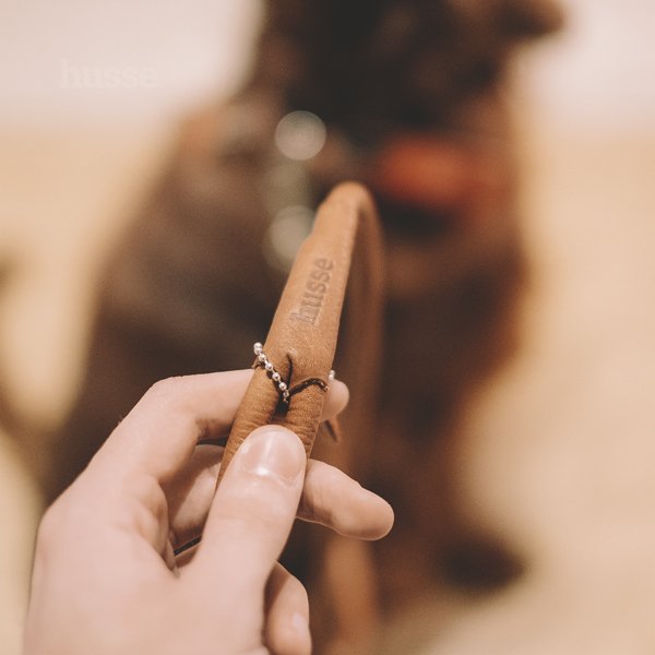 Guinzaglio in pelle per cani