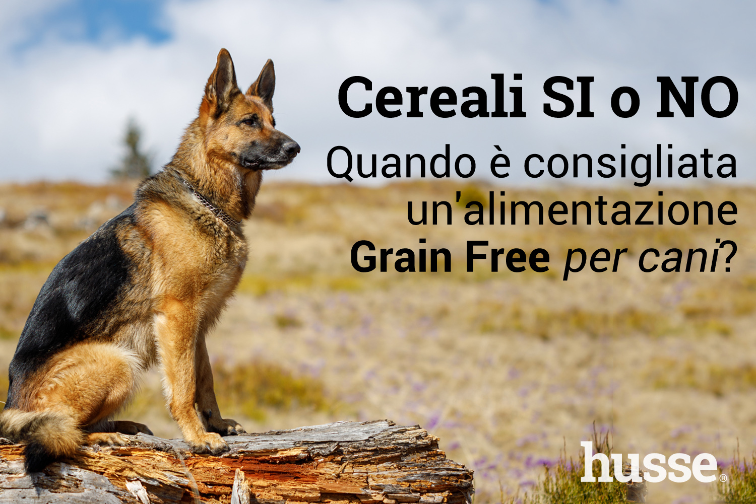 16520880451918275534