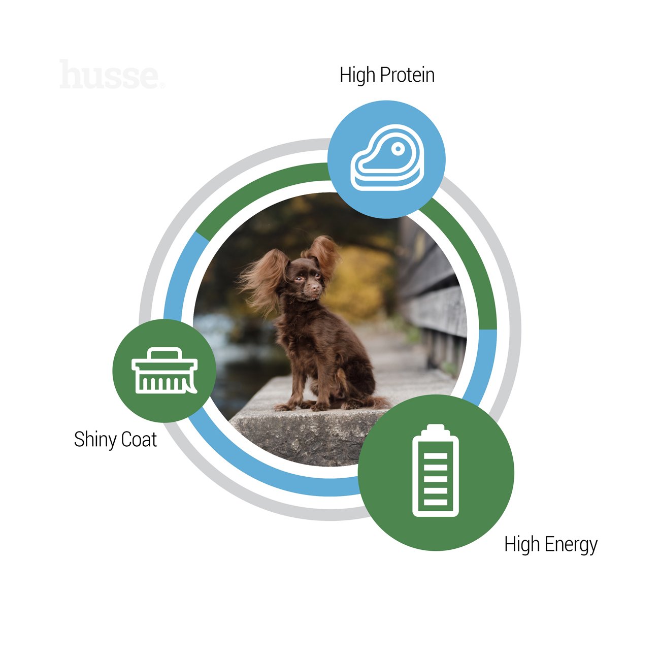 Optimal Mini, 2 kg | Crocchette per cani attivi di taglia piccola