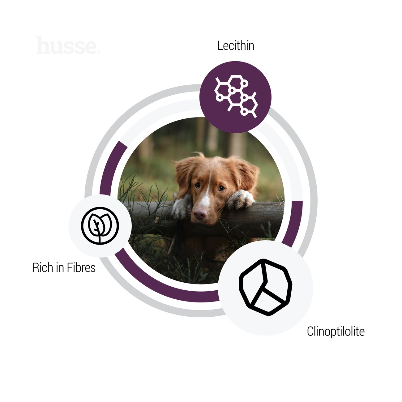 Sensitive Light, 12.5 kg | Crocchette per cani meno attivi con digestione sensibile