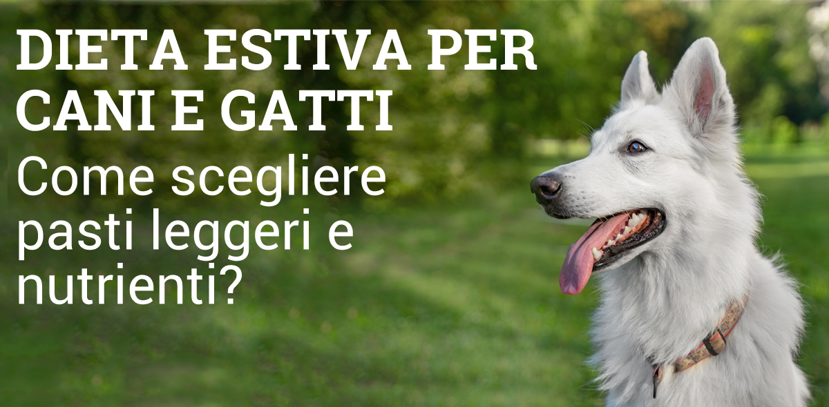 dieta_estate_Cane_e_gatto_banner_1