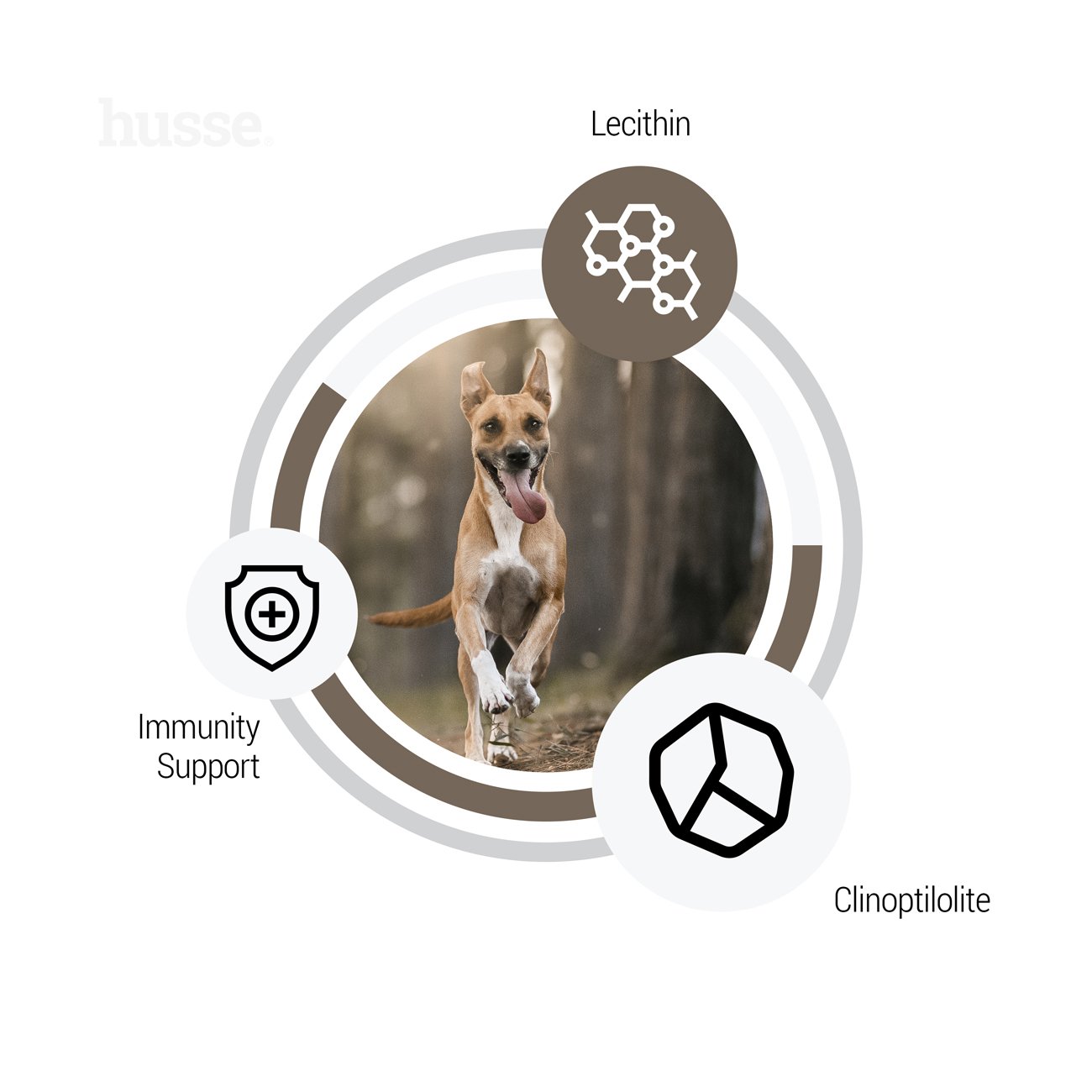 Digest Sensitive, 3x12.5 kg | Crocchette per cani con digestione sensibile