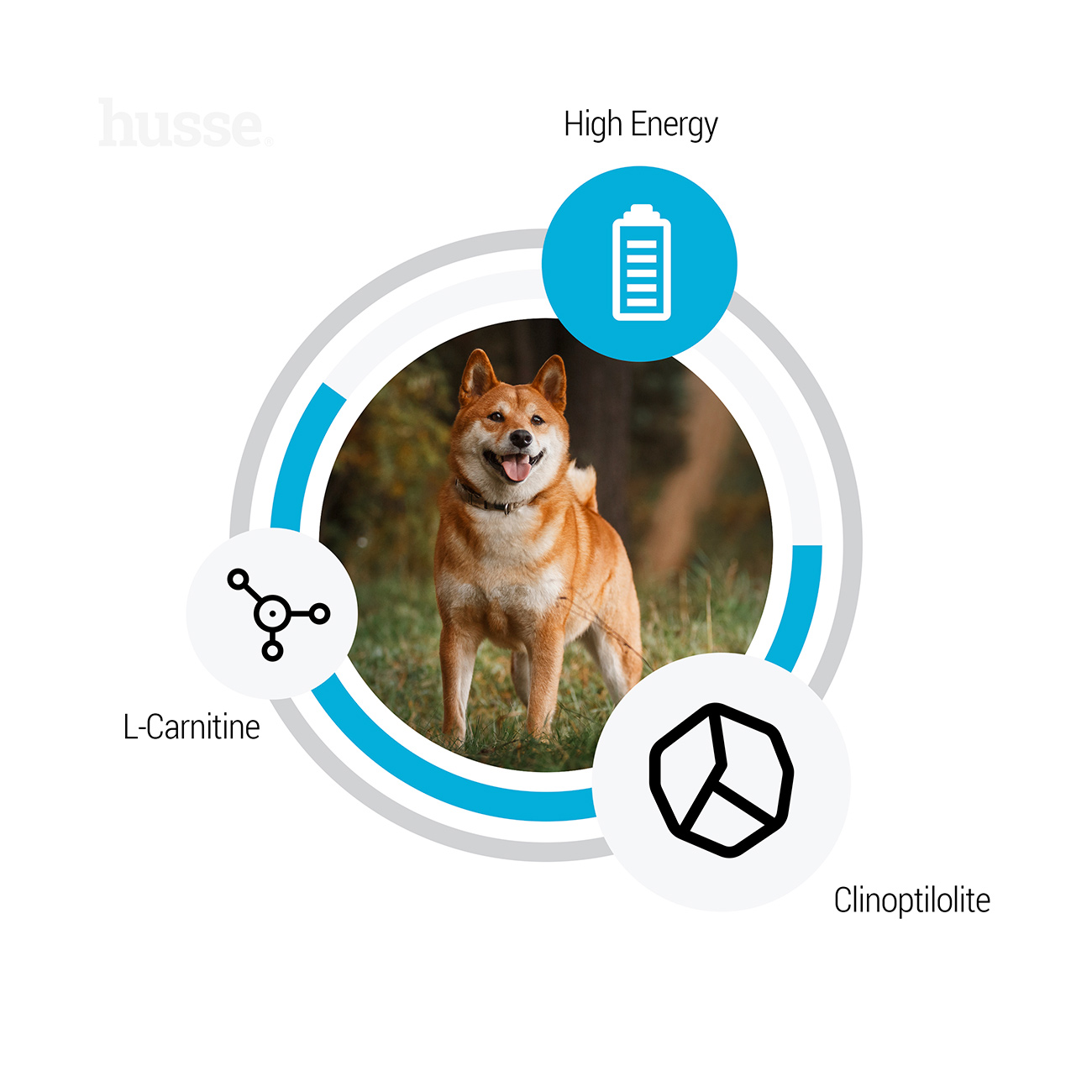 Optimal Sensitive, 12.5 kg | Crocchette per cani attivi con digestione sensibile