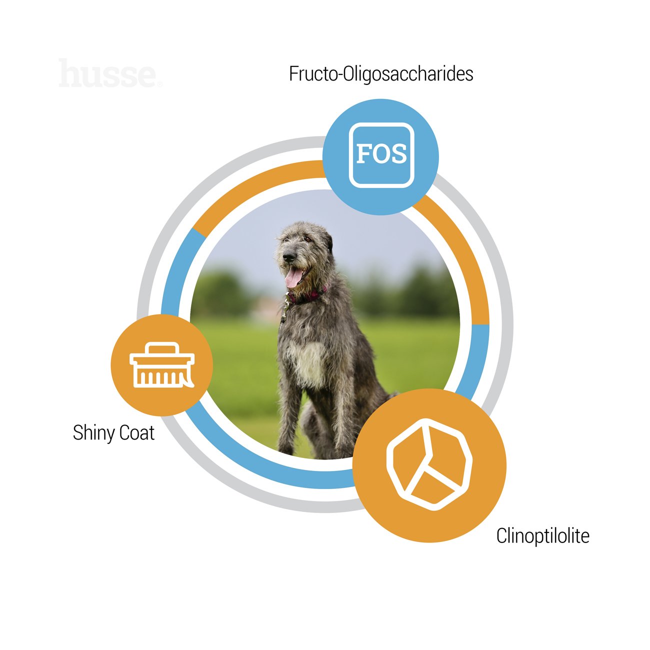 Optimal Giant, 12 kg | Crocchette per cani attivi di taglia grande