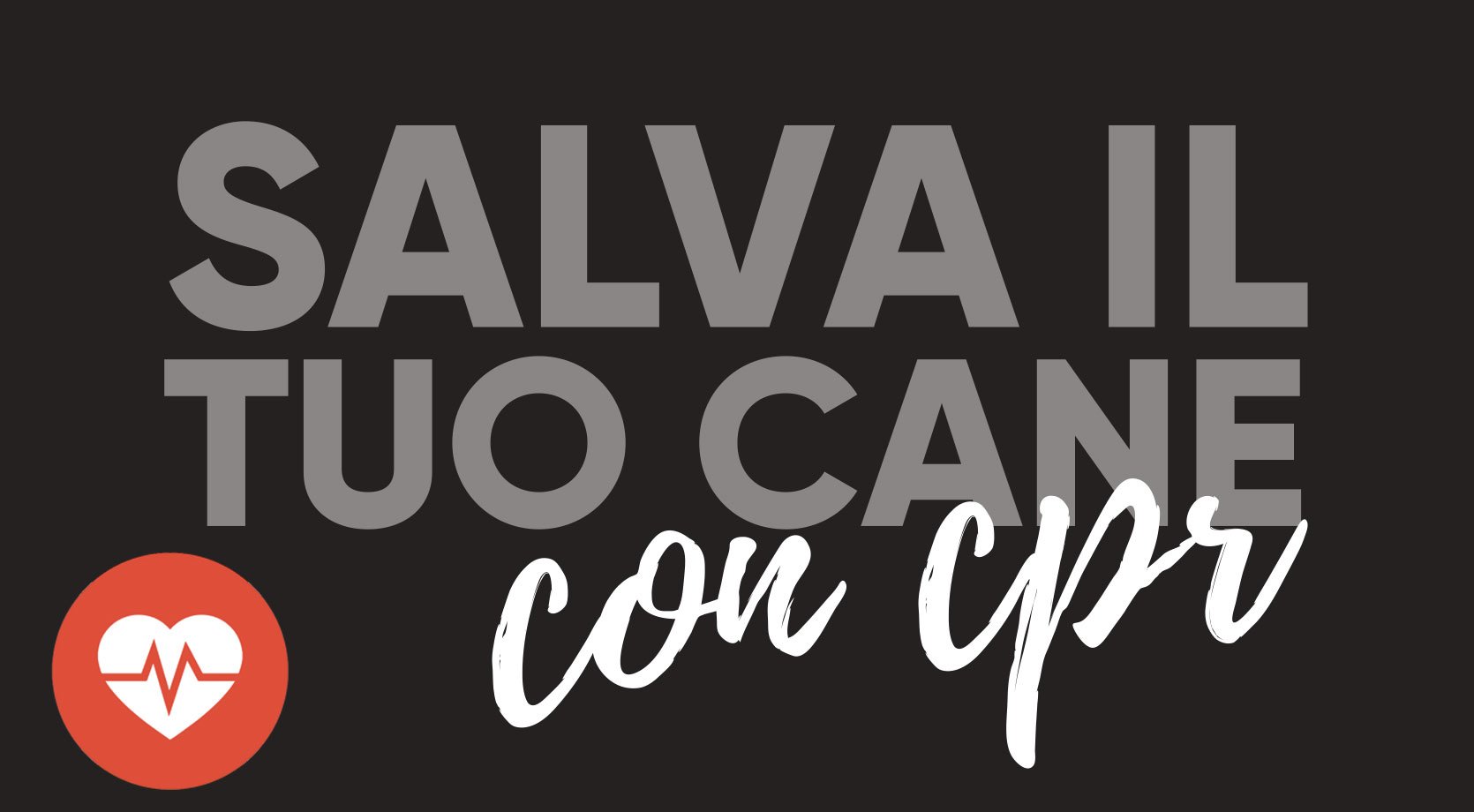 _041116123352_come-salvare-cane-con-rcp-respirazione-cardio-polmonare-cane-non-respira