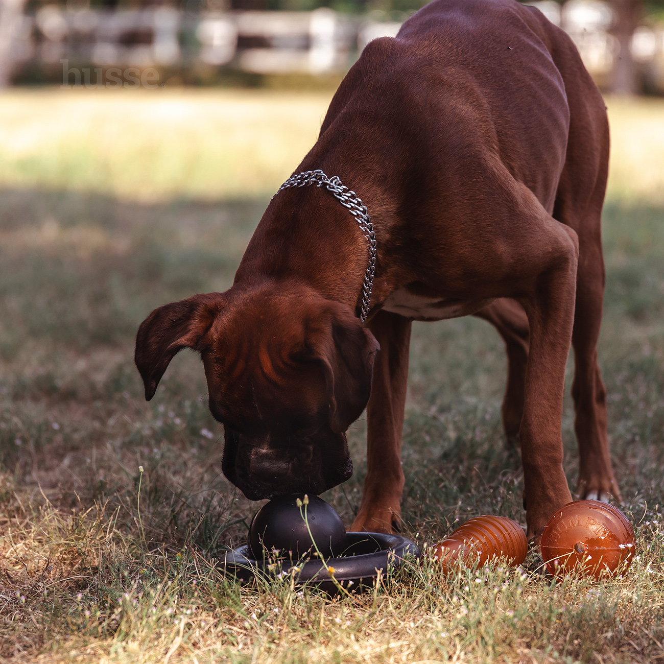 Kägel, L | Gioco per cani a forma di birillo
