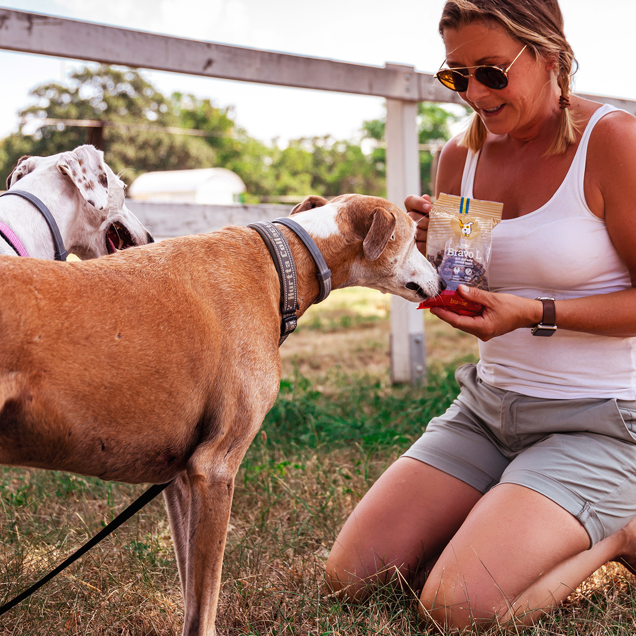 Bravo L, 150 g | Snack per cani senza glutine