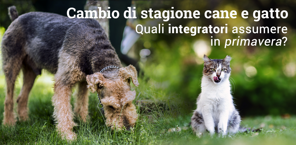 cambio_stagione_banner_1