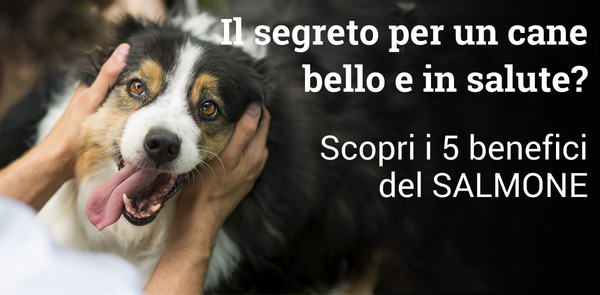 Benefici_salmone_banner