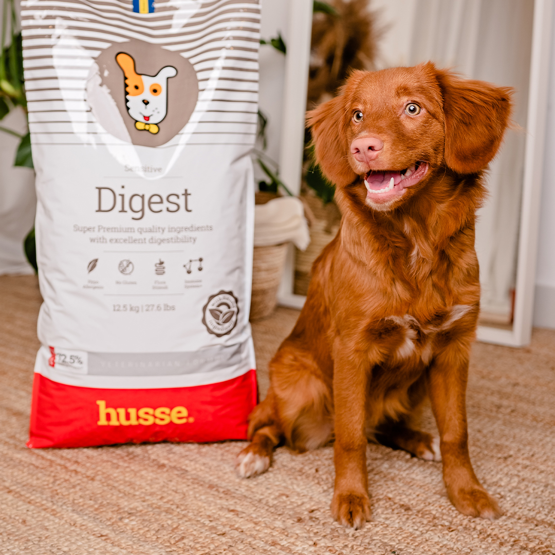 Digest Sensitive, 3x12.5 kg | Crocchette per cani con digestione sensibile
