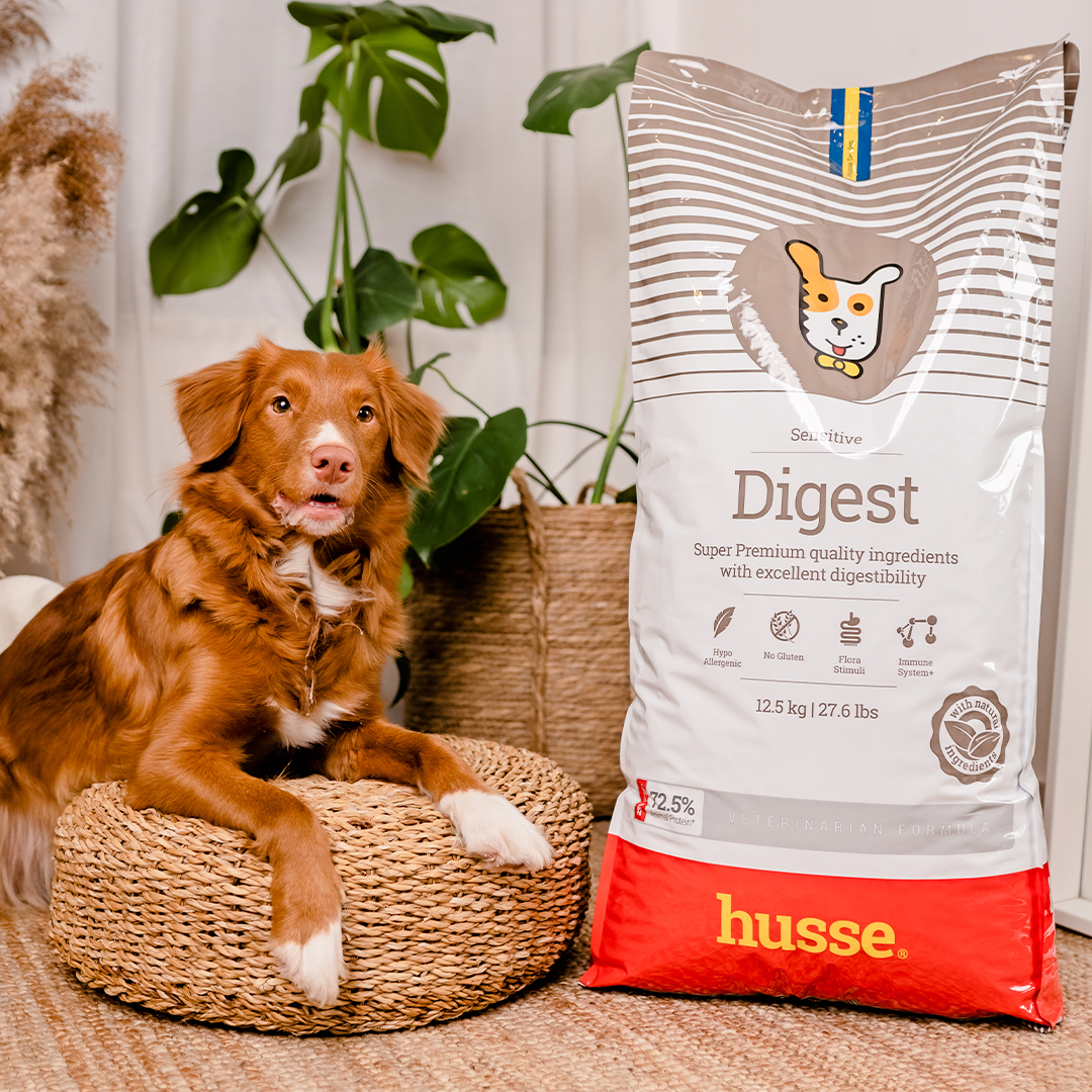 Digest Sensitive, 3x12.5 kg | Crocchette per cani con digestione sensibile