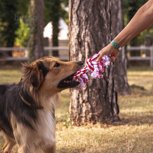 Rep Toys, S | Gioco per cani corda intrecciata