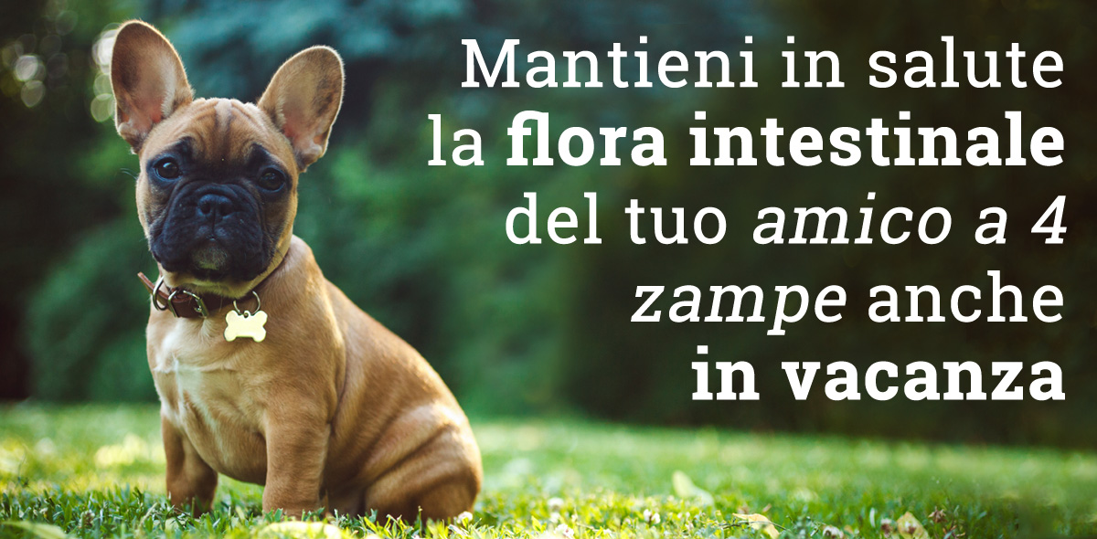 flora_intestinale_banner_1