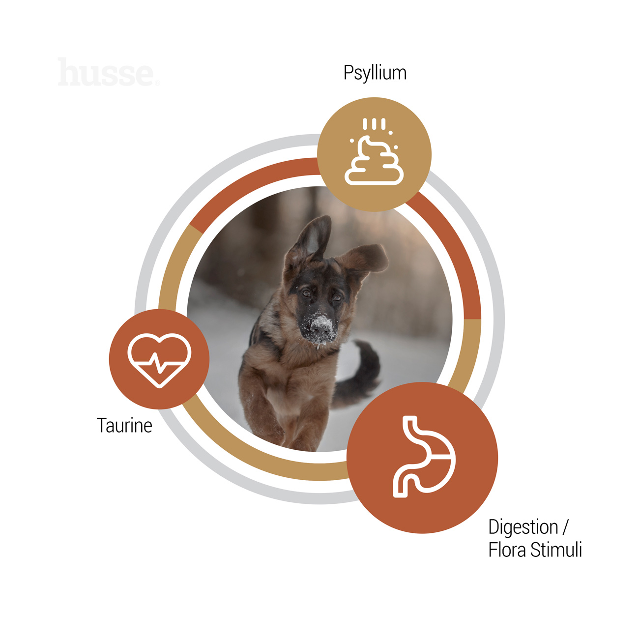 Valp Farm, 12 kg | Crocchette per cuccioli senza cereali