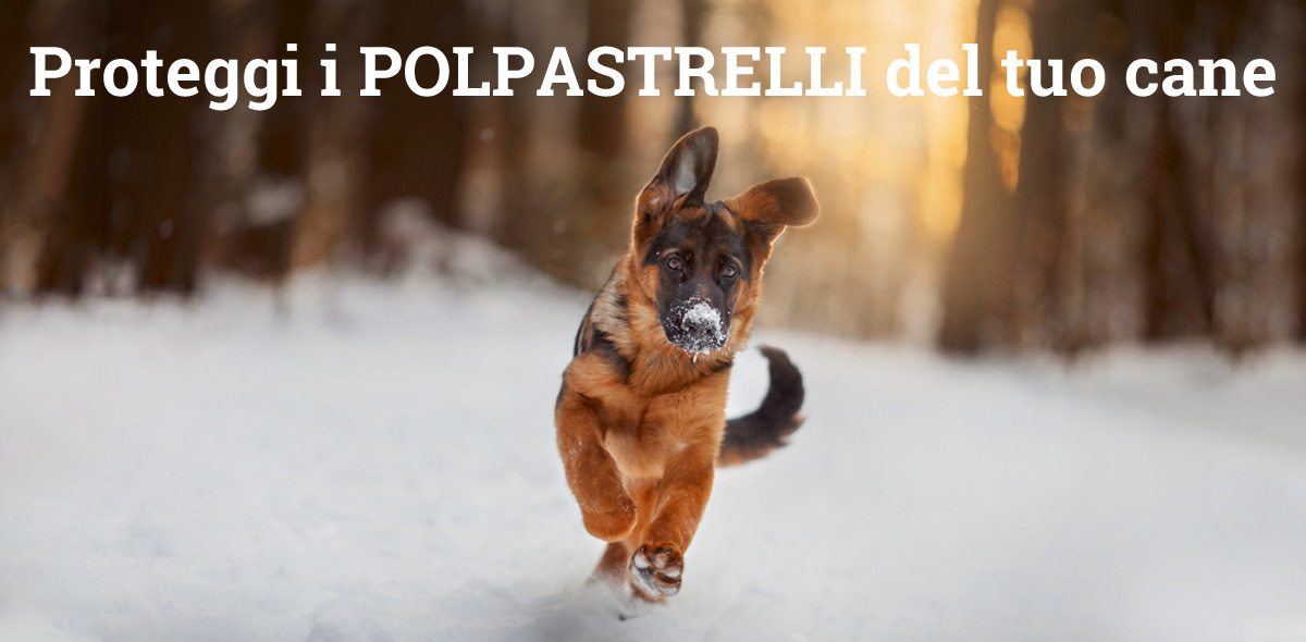 banner_polpastrelli_cane_1