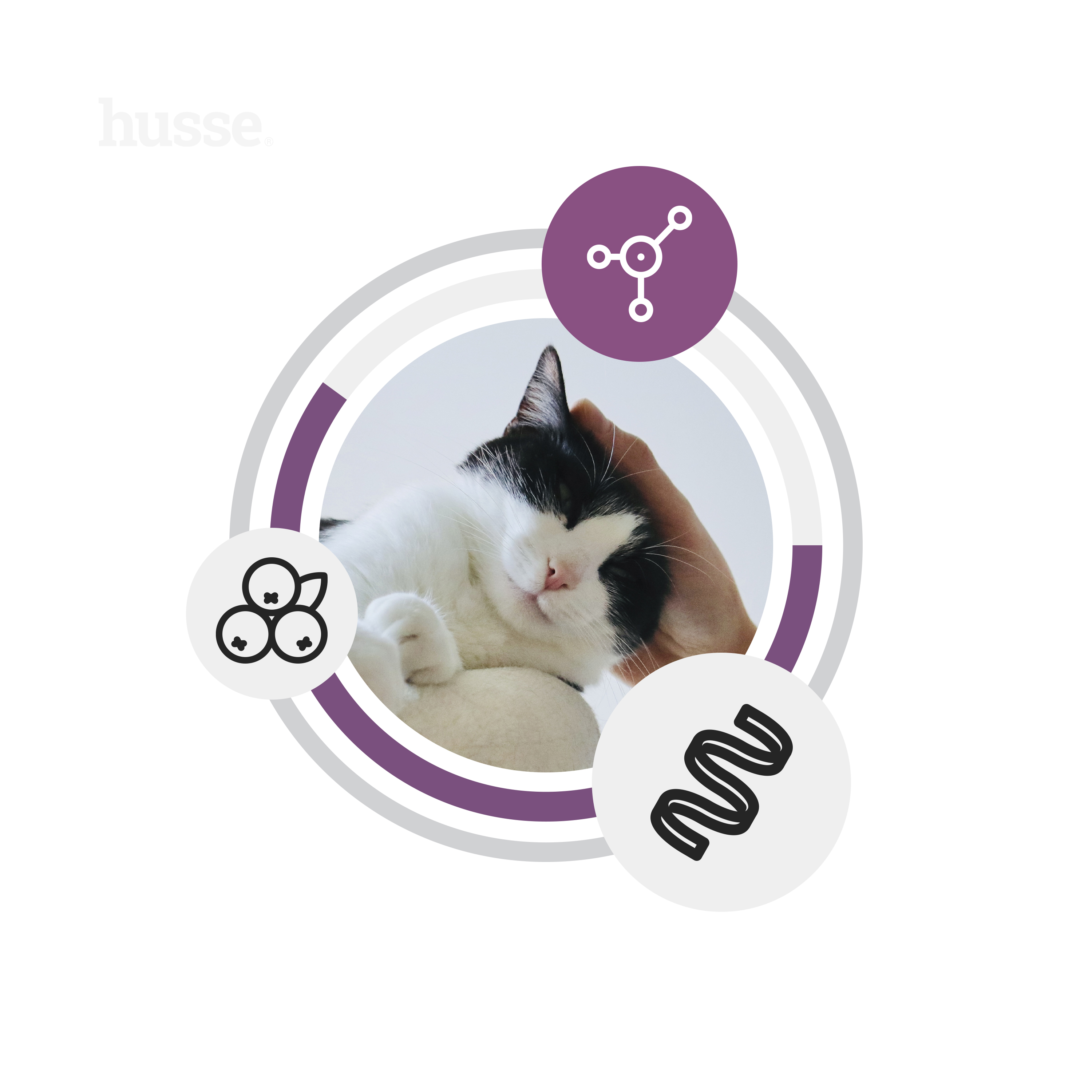 Crocchette per gatti sterilizzati senza cereali | Fresh Sterilised, 7kg