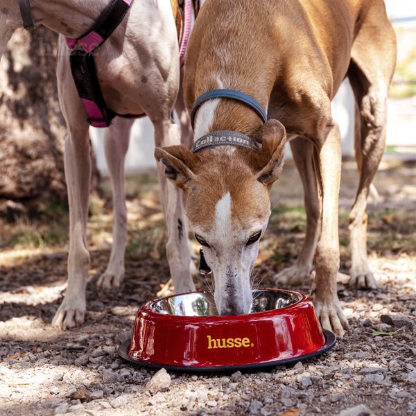 Ciotola in acciaio inossidabile, GRANDE