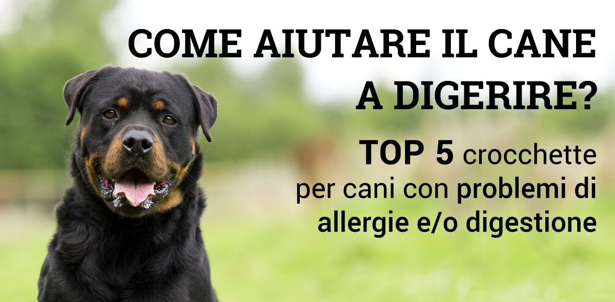digestione_cane_banner_1