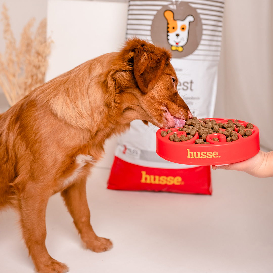 Digest Sensitive, 3x12.5 kg | Crocchette per cani con digestione sensibile