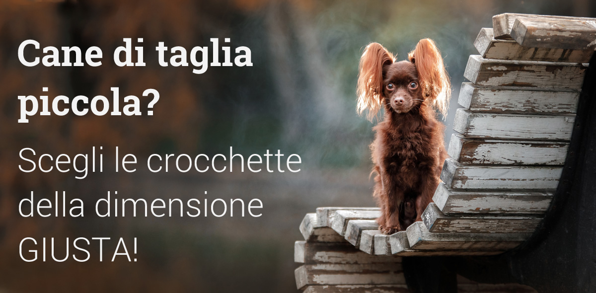 crocchette_cane_taglia_piccola