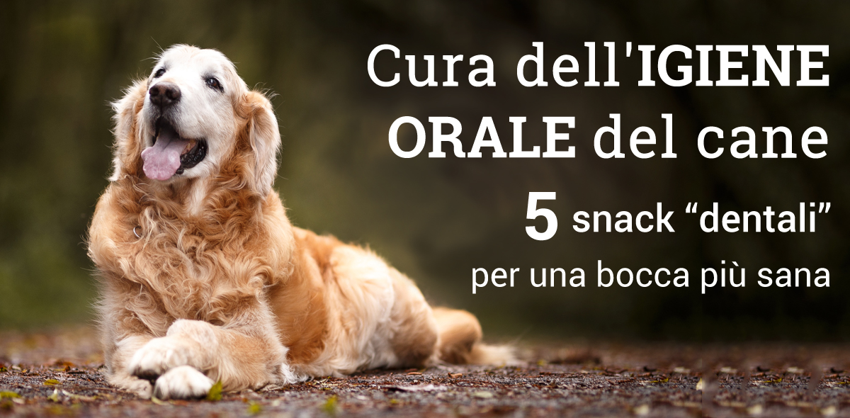 igiene_orale_cane_banner2_1
