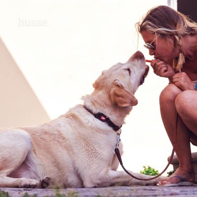 Kycklingfilé, 100 g | Snack essiccato per cani