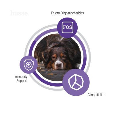 Senior, 12 kg | Crocchette per cani anziani