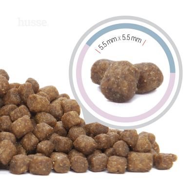 Exclusive Kattunge, 2 kg | Crocchette per gattini