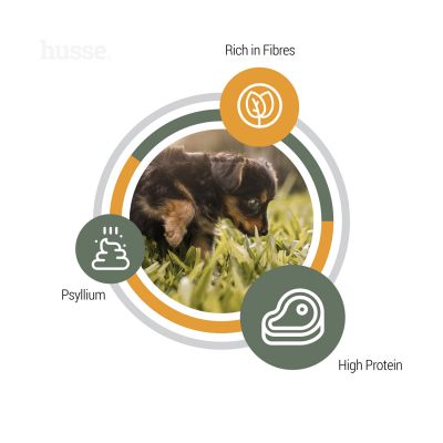 Valp Plus, 2 kg | Crocchette per cuccioli con digestione sensibile