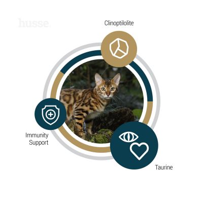 Lynx Senior, 7 kg | Crocchette per gatti anziani senza cereali