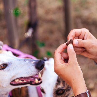 Bravo, 150 g | Snack per cani senza glutine