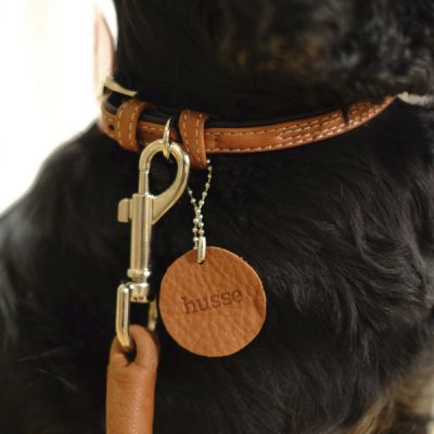 Collare in cuoio per cani, L