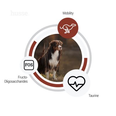 Digest Giant, 12.5 kg | Crocchette per cani di taglia grande con digestione sensibile