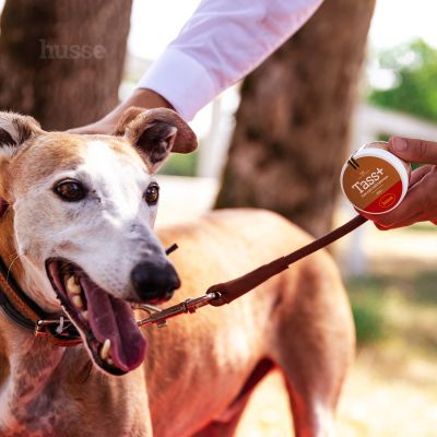 Tass Plus, 40 ml | Balsamo cuscinetti zampe