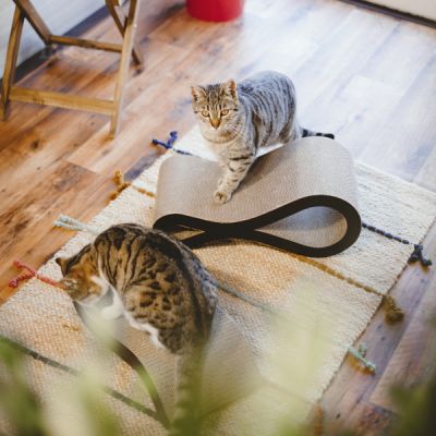 Krusa | Tiragraffi in cartone per gatti