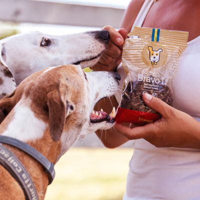 Bravo L, 150 g | Snack per cani senza glutine