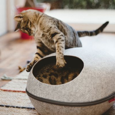 Krypin | casa per gatti