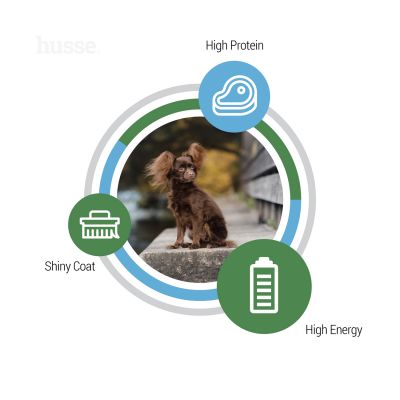 Optimal Mini, 2 kg | Crocchette per cani attivi di taglia piccola