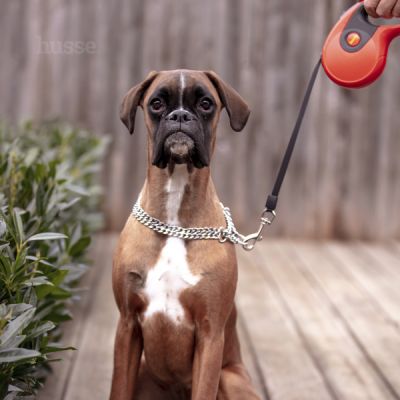 Rulle, 3 m | Guinzaglio retrattile per cani