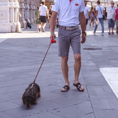 Guinzaglio in pelle per cani