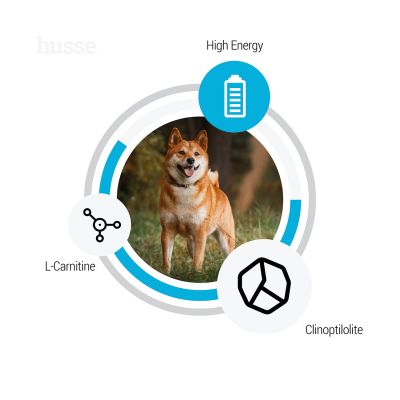Optimal Sensitive, 12.5 kg | Crocchette per cani attivi con digestione sensibile