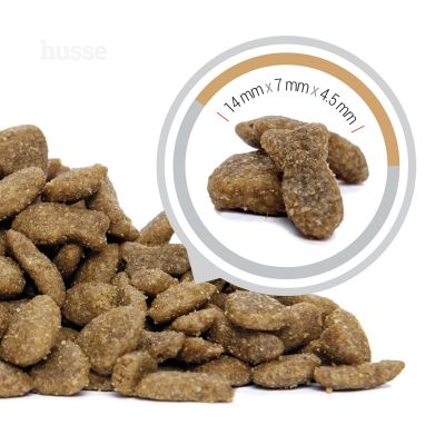Kroketter Lax, 2 kg | Crocchette per gatti adulti